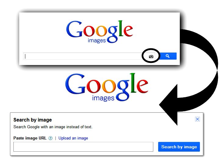 google-image-search1