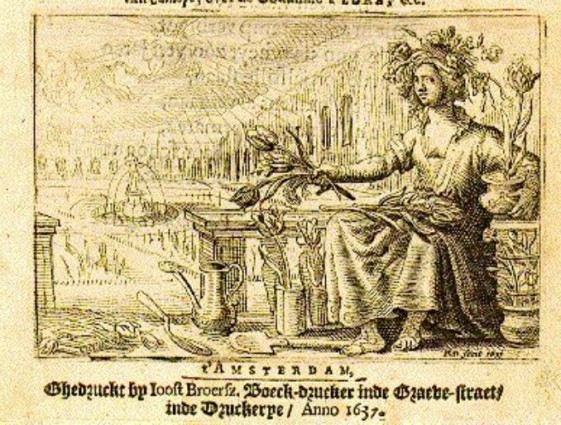 http://commons.wikimedia.org/wiki/File:Pamphlet_dutch_tulipomania_1637.jpg