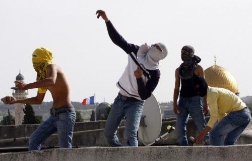 Rock Throwing Palestinian Youth