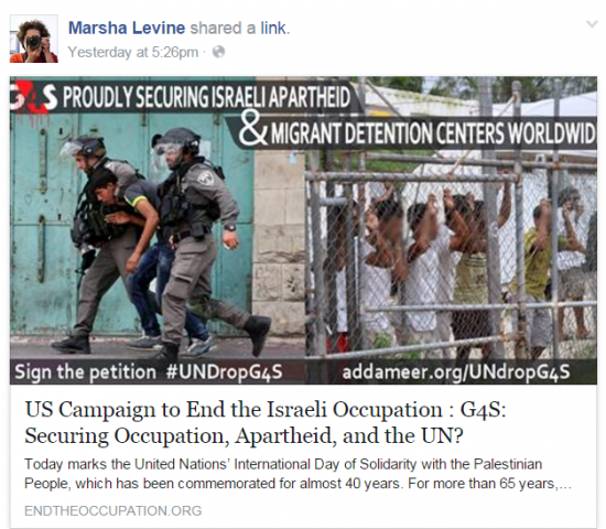 Marsha Levine Facebook US Campaign Share