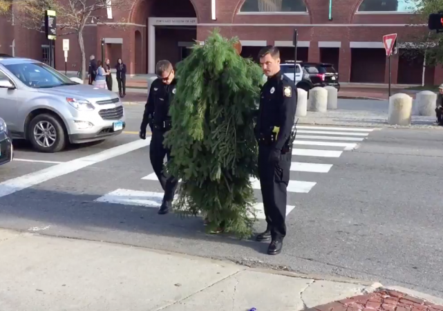 http://www.boston.com/news/local-news/2016/10/25/police-man-dressed-as-tree-arrested-for-blocking-traffic-in-maine