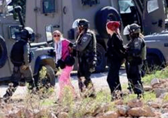 http://www.israellycool.com/2015/11/14/code-pinker-ariel-gold-slips-up-in-description-of-her-arrest/