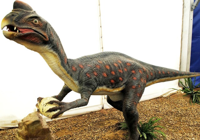 https://commons.wikimedia.org/wiki/File:Dinosaurios_Park,_Oviraptor.JPG