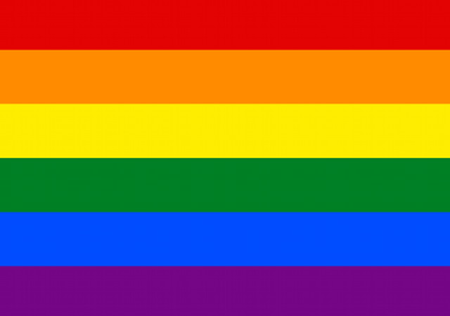 https://commons.wikimedia.org/wiki/File:Gay_flag.svg