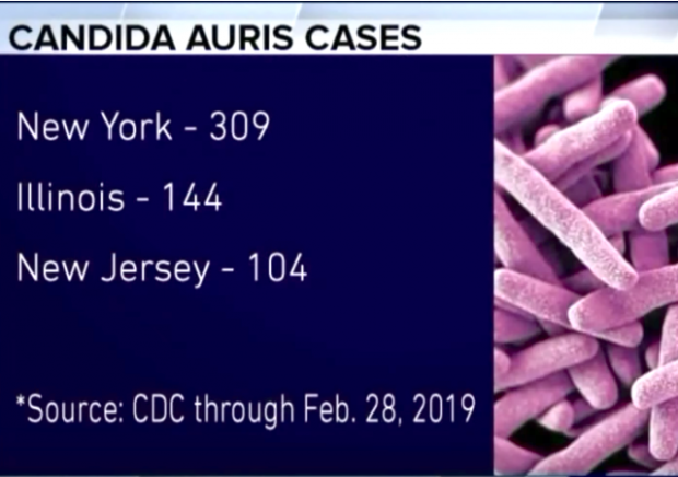 CDC Warns That Superbug Fungus Is Infecting Hundreds Across The U.S.