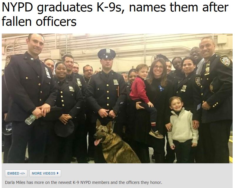 https://abc7ny.com/pets-animals/nypd-graduates-k-9s-names-them-after-fallen-officers/2724481/